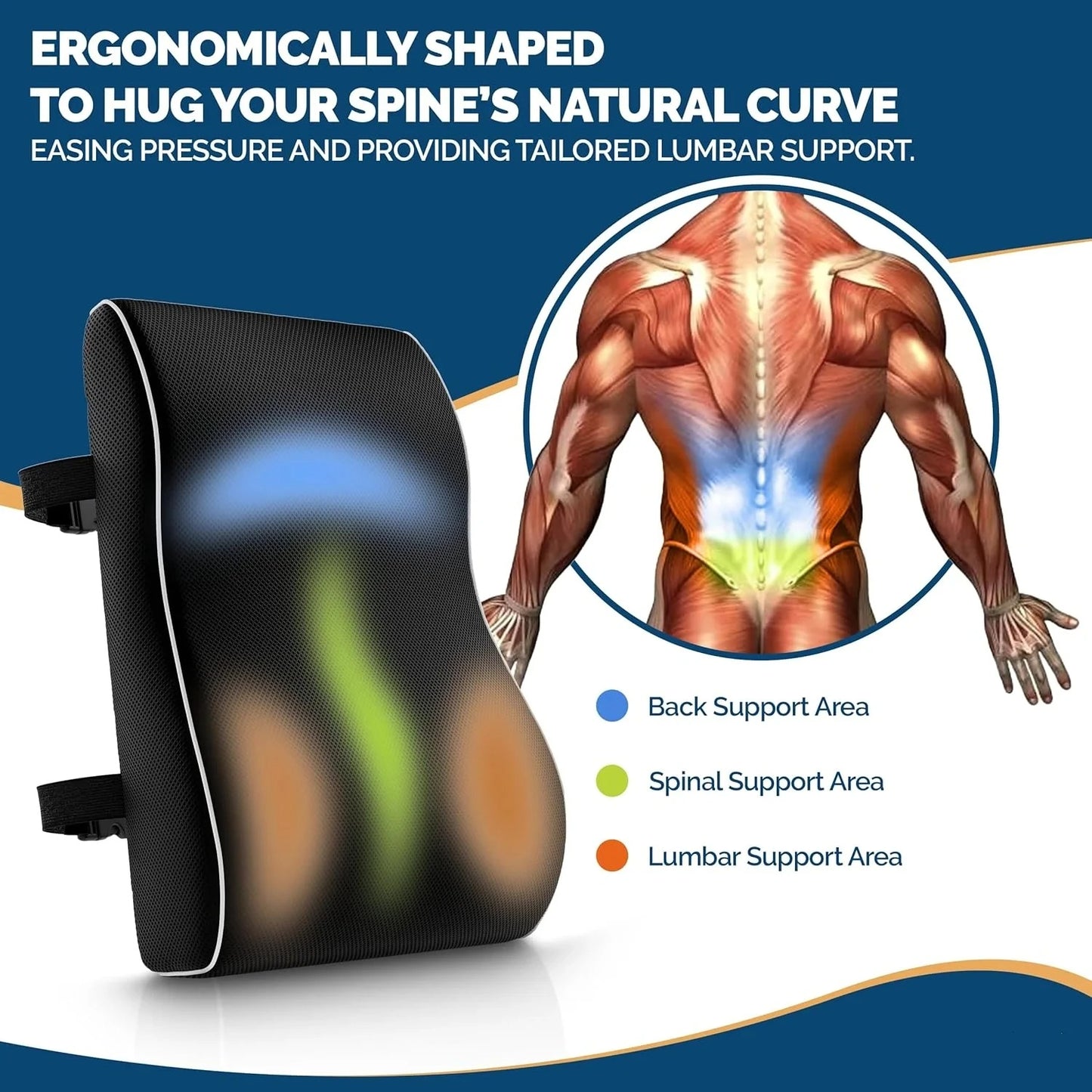 Backly™ Performance Lumbar Support